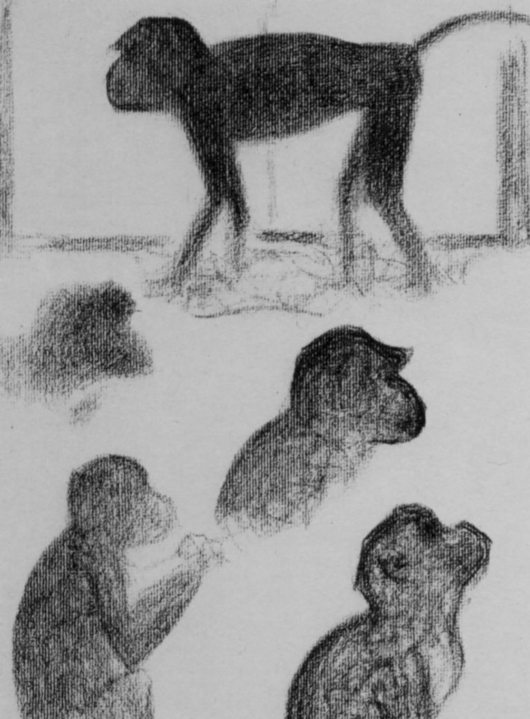 sketches of monkey georges seurat
